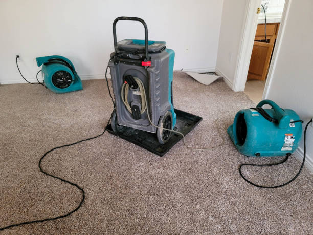 Best Professional water damage repair  in Lynwood, IL