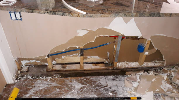 Best Mold removal after water damage  in Lynwood, IL