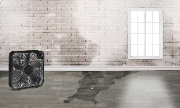 Best Emergency water damage restoration  in Lynwood, IL
