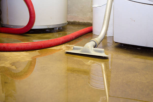 Best Basement water damage restoration  in Lynwood, IL