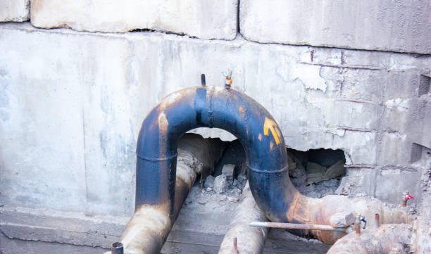 Best 24-hour water damage restoration  in Lynwood, IL