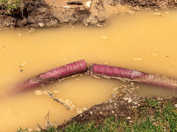 Best Water damage restoration company  in Lynwood, IL